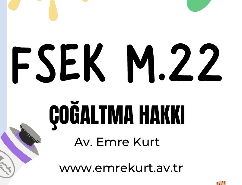 Fikir ve Sanat Eserleri Kanunu(FSEK) m. 22 Çoğaltma Hakkı